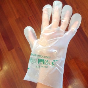 Medium Food Prep Gloves - 1