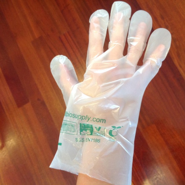 Medium Food Prep Gloves – 1